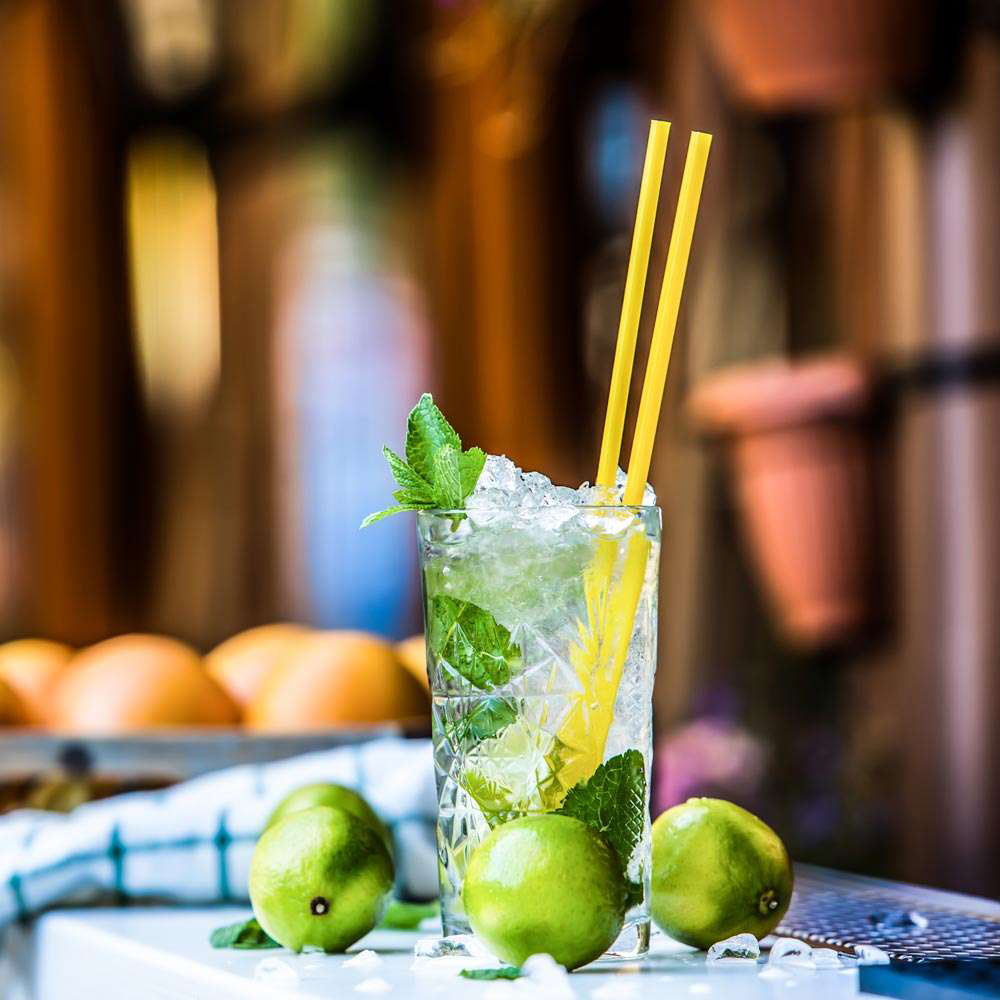 Gastroback Eis-Crusher 314728