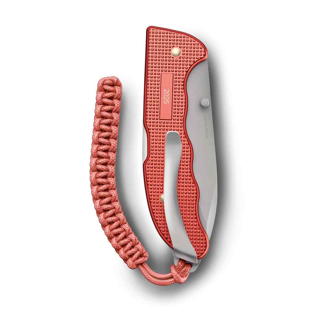 Victorinox Evoke Alox 648500