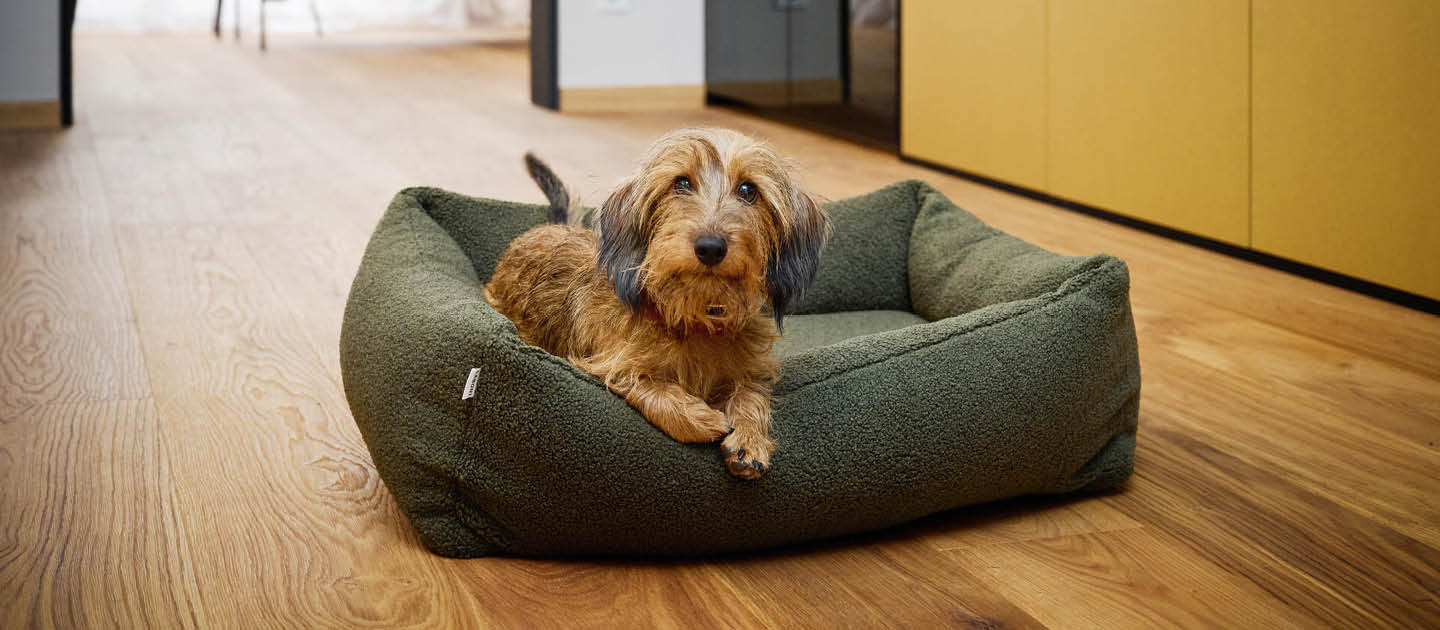 2024_BRANDSHOP_PAGE_1440x630px_Laboni