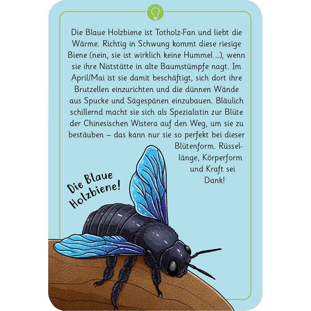 Moses Kartenset 50 Tierrätsel - Insekten "Expedition Natur"