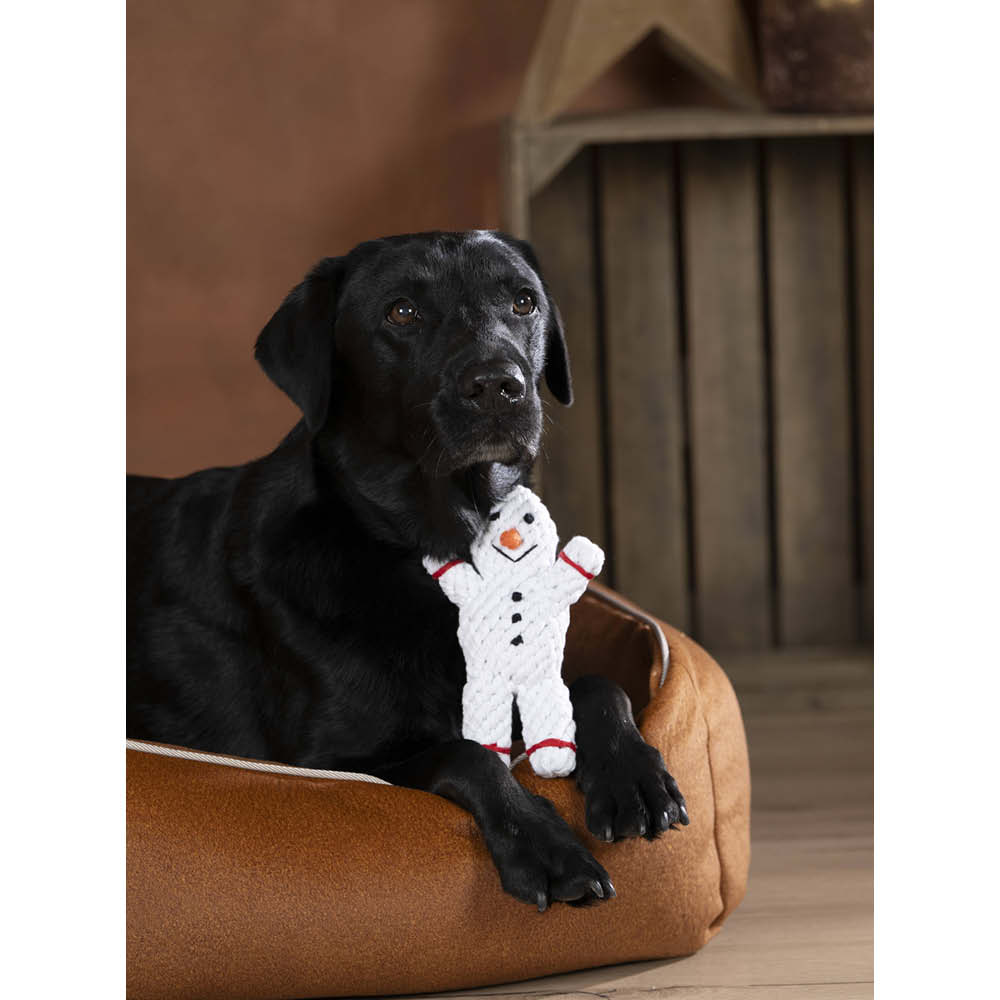 Laboni Kultspielzeug für Hunde "Shawn der Schneemann" 633718