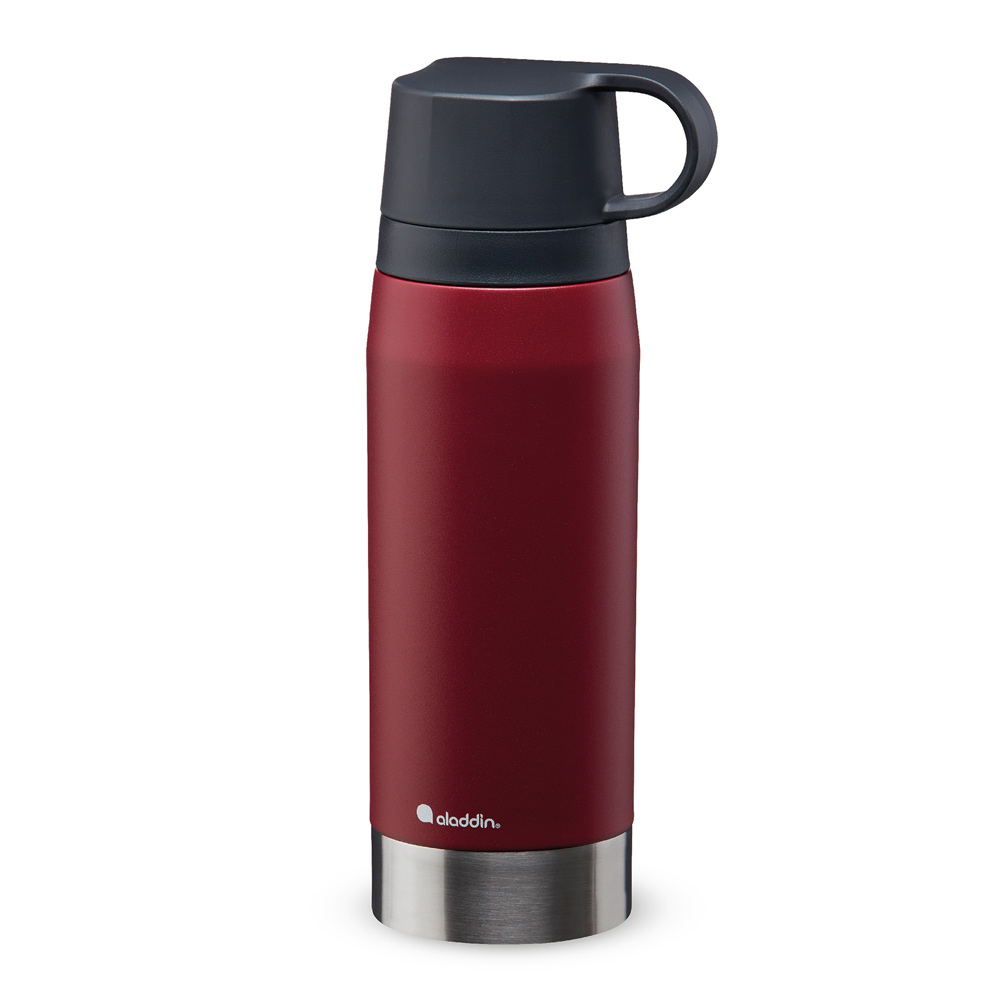 Aladdin Isolierflasche "CityPark Thermavac" 620647