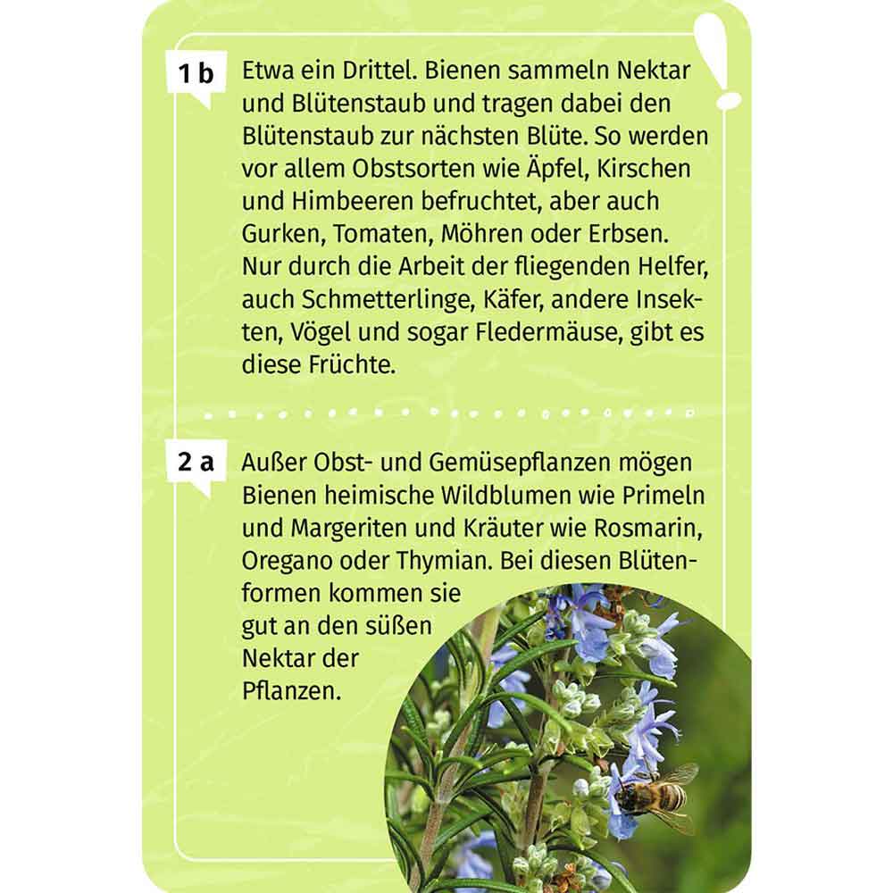 Moses Mein Garten-Forscherquiz "Expedition Natur"