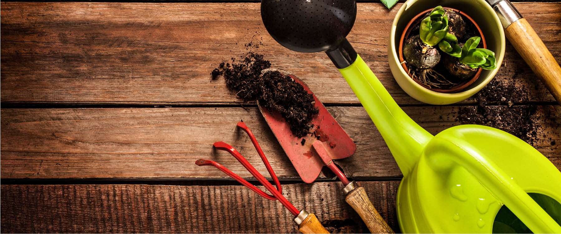 Header_Ostern_Landingpage_1920x1920@2x