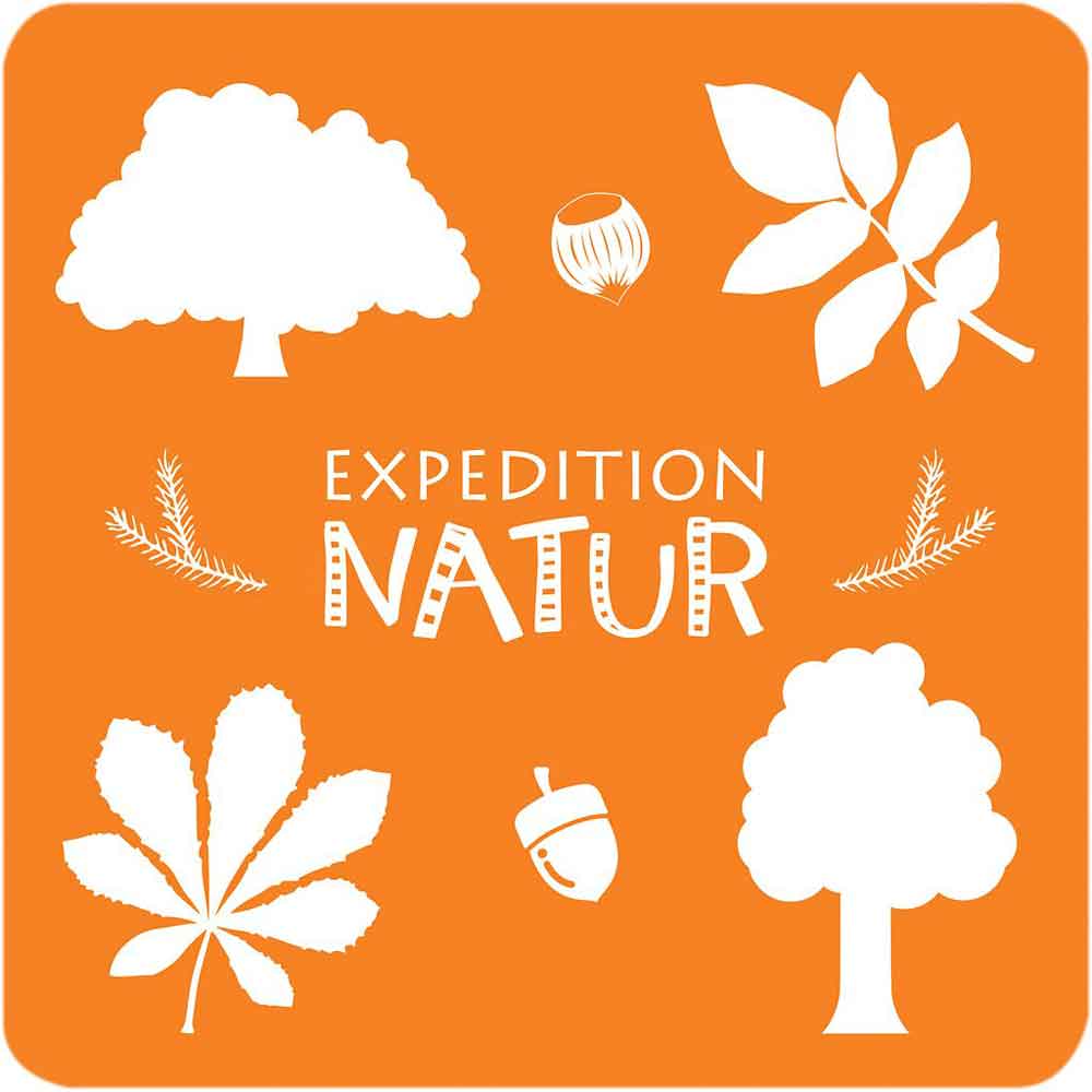 Moses Das große Bäume & Sträucher Memo "Expedition Natur"
