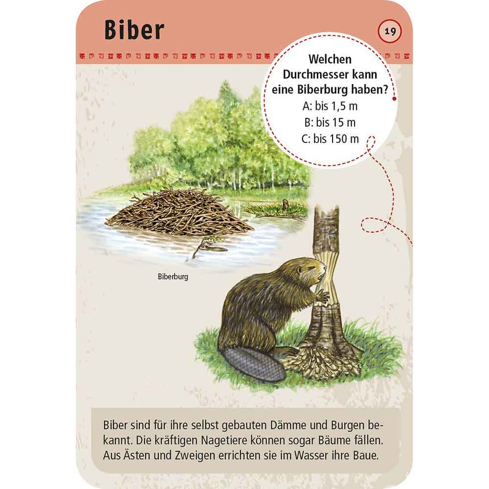 Moses Kartenset 50 Tierspuren "Expedition Natur"