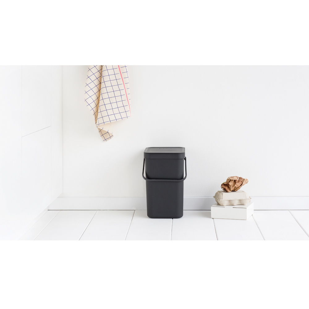 BRABANTIA Abfallbehälter ''Sort & Go'' 12 l 558765