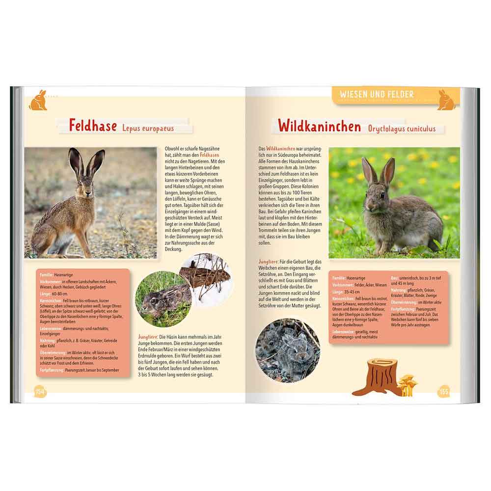 Moses Buch "Mein großer Naturführer Tiere & Pflanzen"