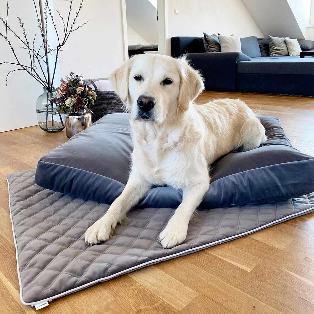 hundedecke_oxfordfmgf4uyabwv51