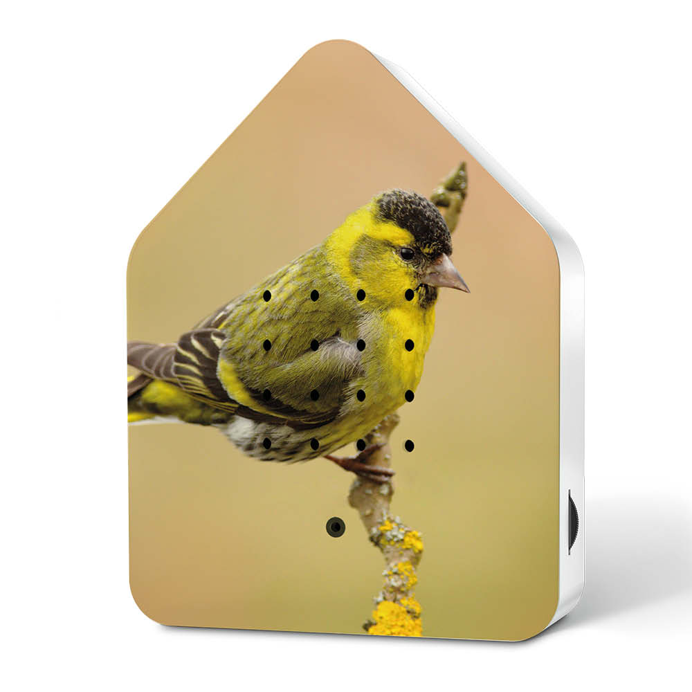 Relaxound Zwitscherbox "Eurasian Siskin"