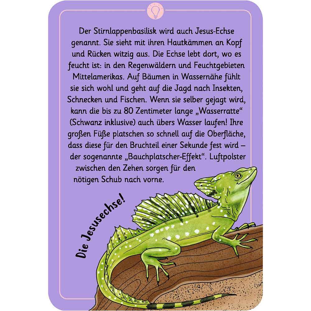 Moses Kartenset 50 Tierrätsel - Tricks&Tarnung "Expedition Natur"
