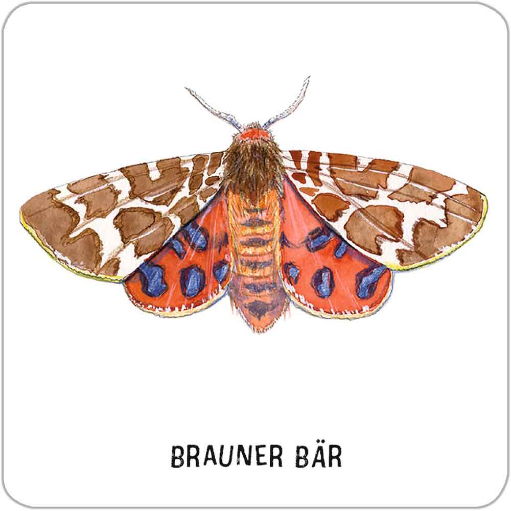 Moses Das große Insekten Memo "Expedition Natur"